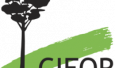 200px-CIFOR_logo